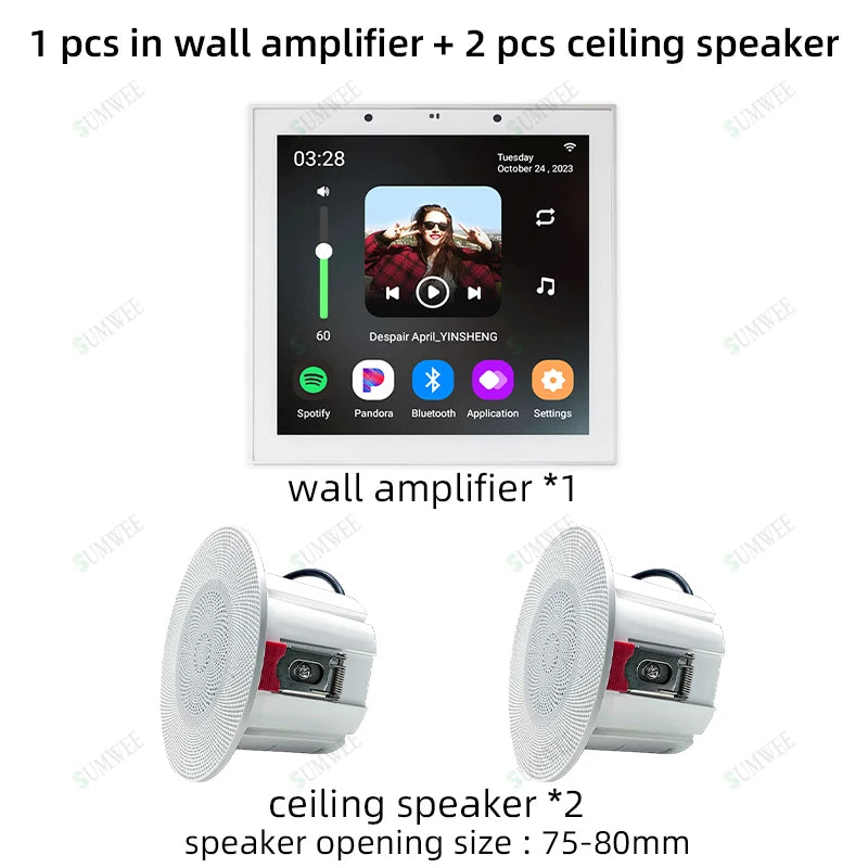 ALEXA Voice Home smart Background music player Bluetooth audio in wall power amplifier android11 system WIFI sound control panel Wesley store