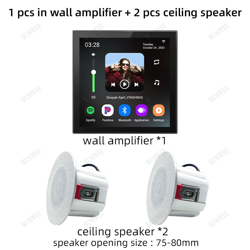 ALEXA Voice Home smart Background music player Bluetooth audio in wall power amplifier android11 system WIFI sound control panel Wesley store